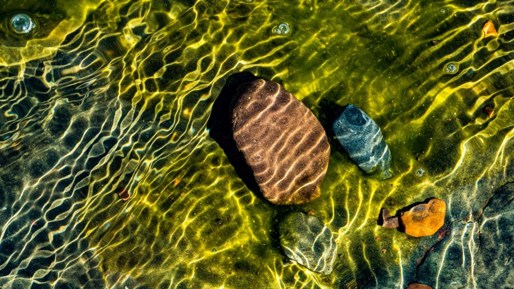 Блики от воды на камнях