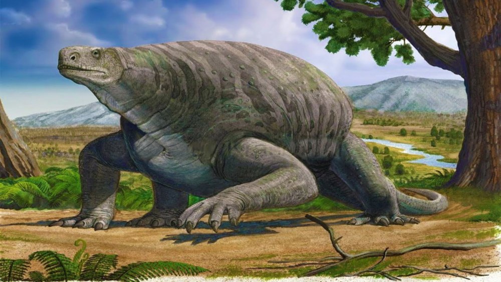 Cotylorhynchus Romeri