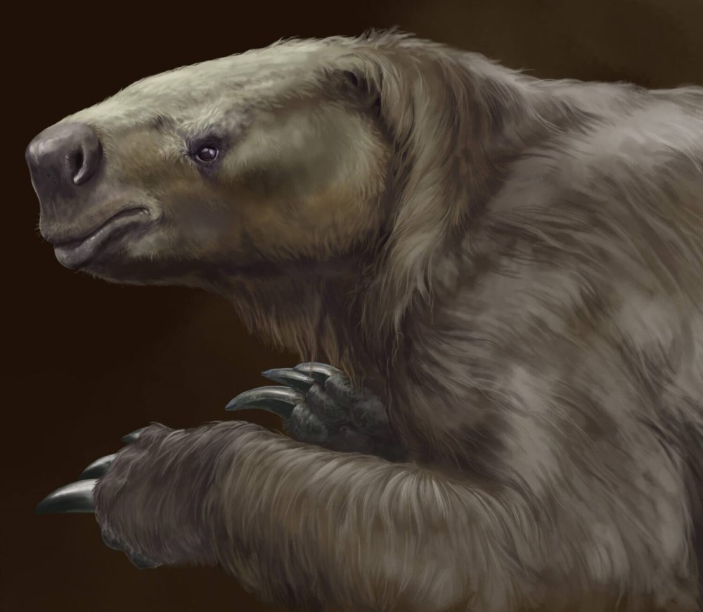 Glossotherium harlani