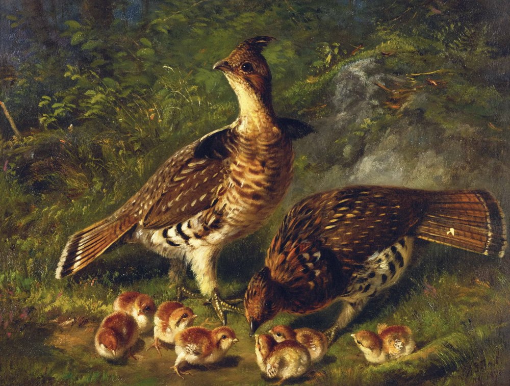 Американский художник Arthur Fitzwilliam Tait (1819-1905)