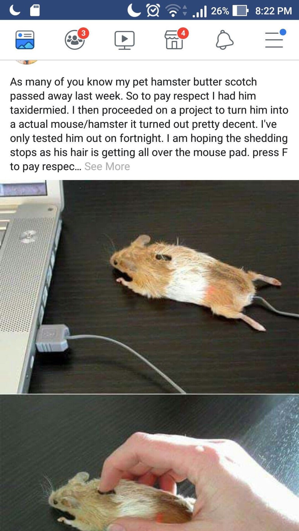 Смешные компьютерные мышки