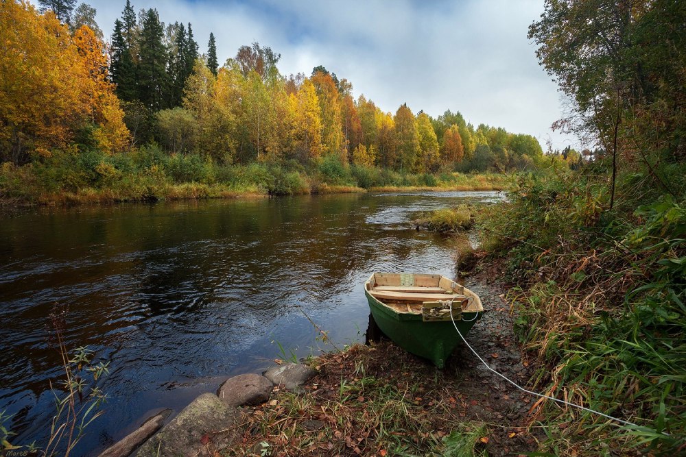 Река Пележма