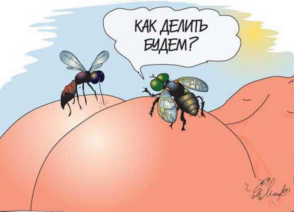 Комар карикатура
