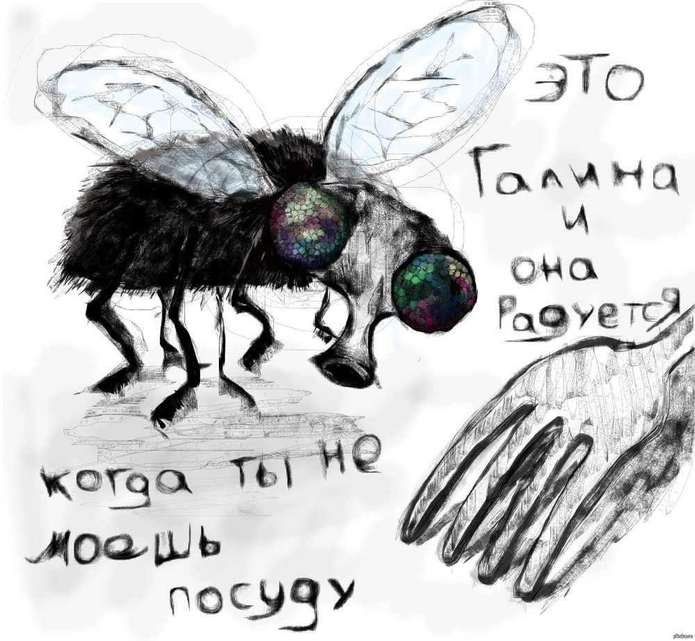 Муха карикатура