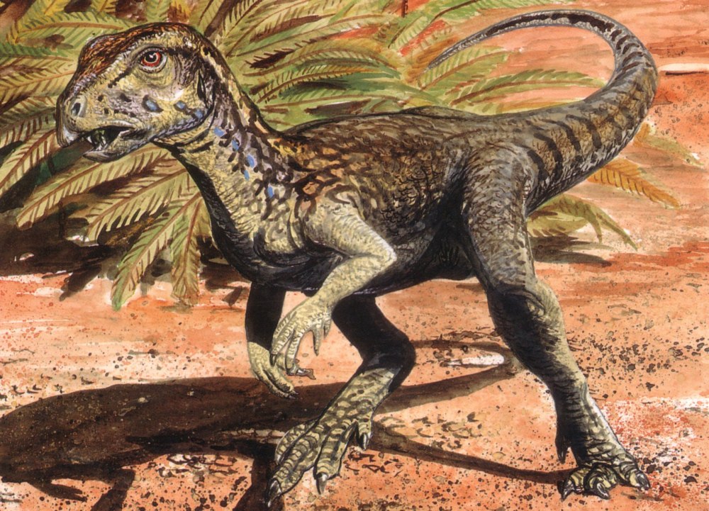 Абриктозавр Abrictosaurus