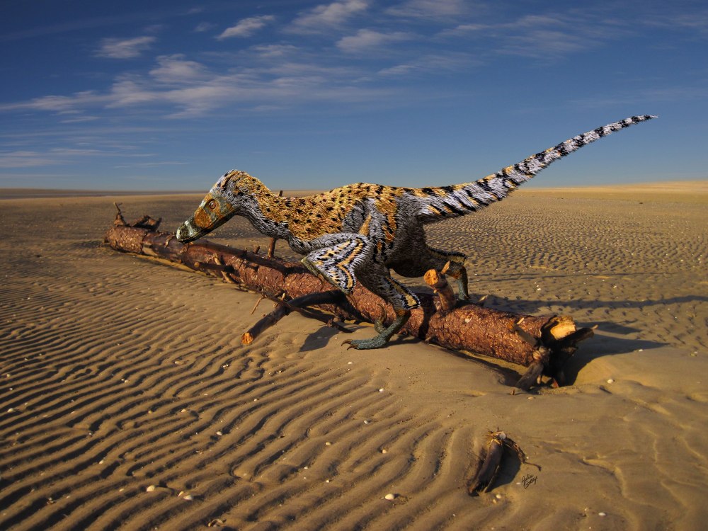 Julius Csotonyi