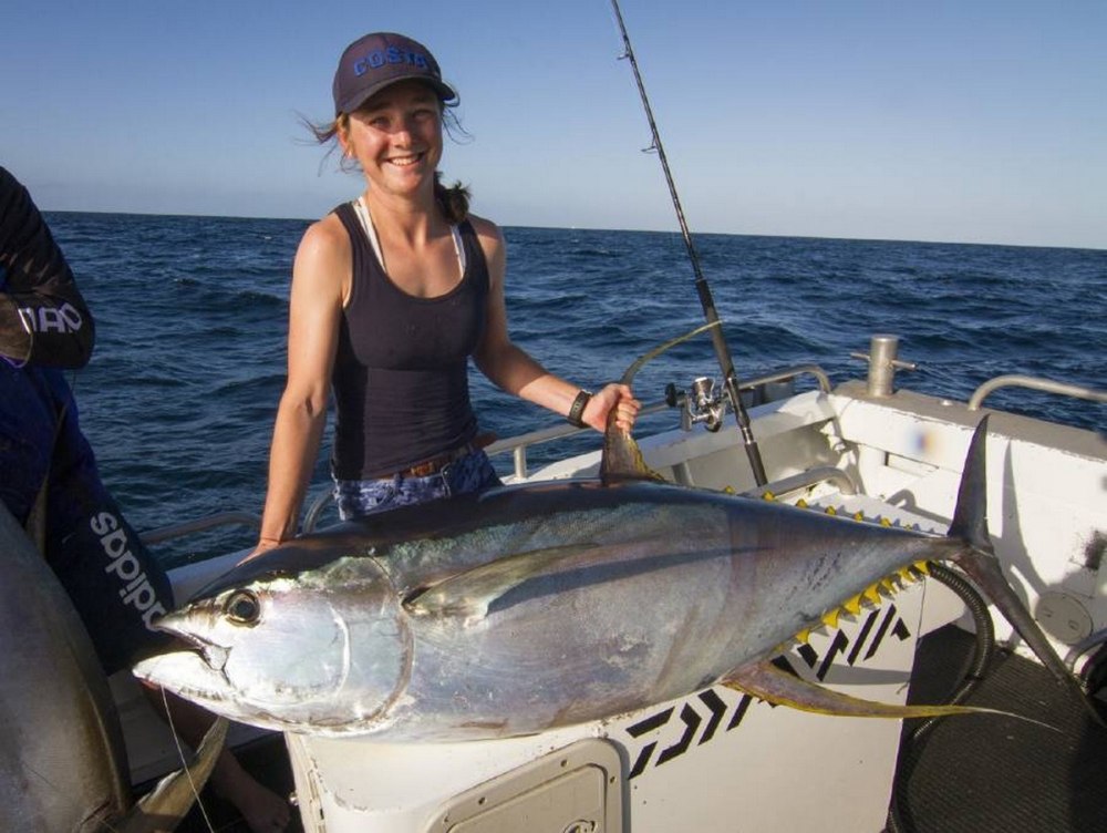 Желтопёрый тунец Thunnus Albacares