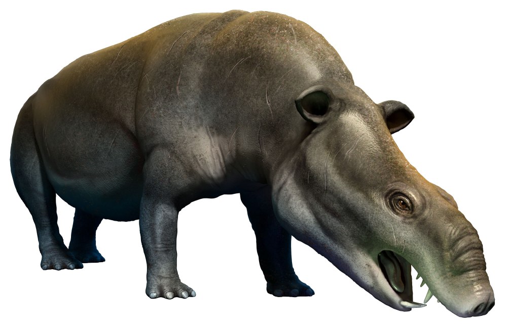 Меритерий (Moeritherium)