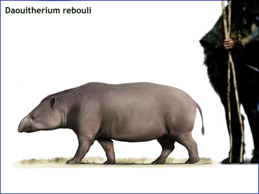 Phosphatherium escuilliei