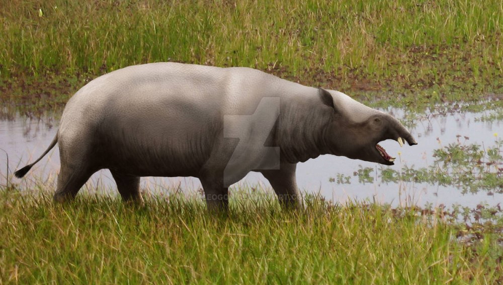 Меритерий (Moeritherium)