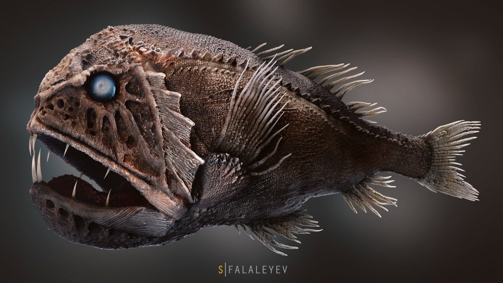 Рыба удильщик Марианская впадина