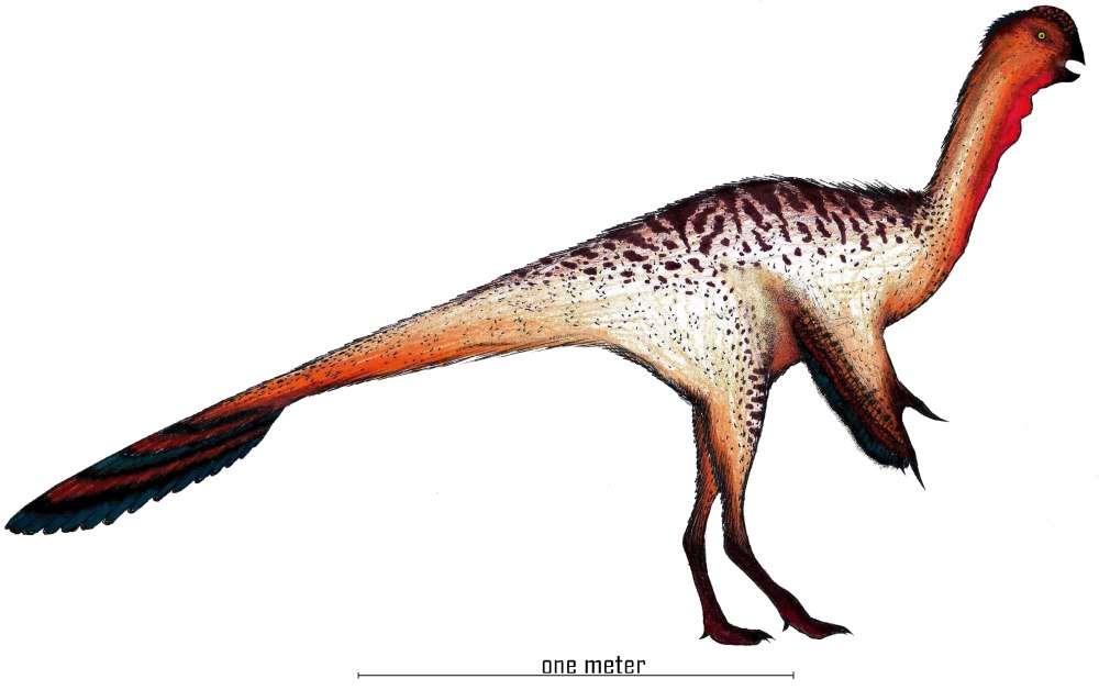 Цзянсизавр. Jiangxisaurus ganzhouensis