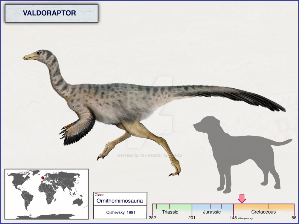 Valdoraptor cisiopurple