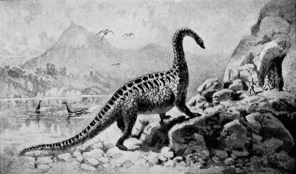 Фото Amphicoelias