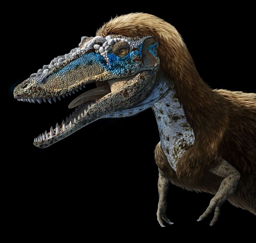 Quinzhozaurus sinensis