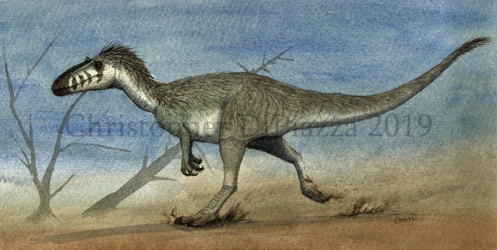 Qianzhousaurus sinensis