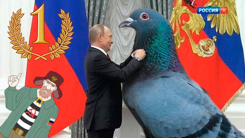 Голубь Путина