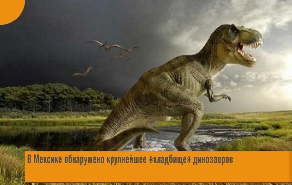 Тираннозавр рекс хищник