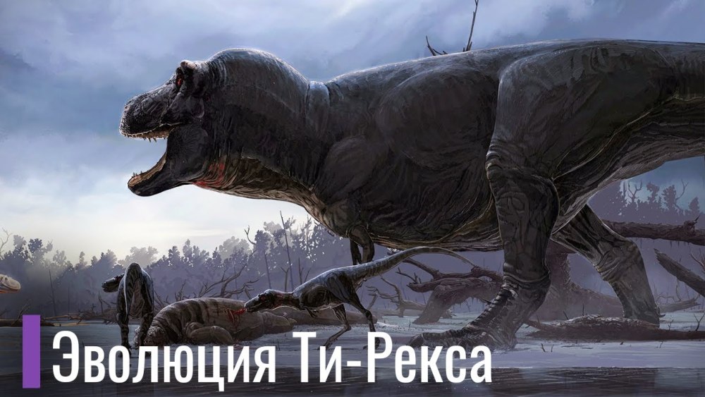 Вастатозавр рекс 2005