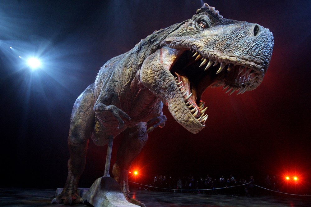Dinosaur Tyrannosaurus Rex