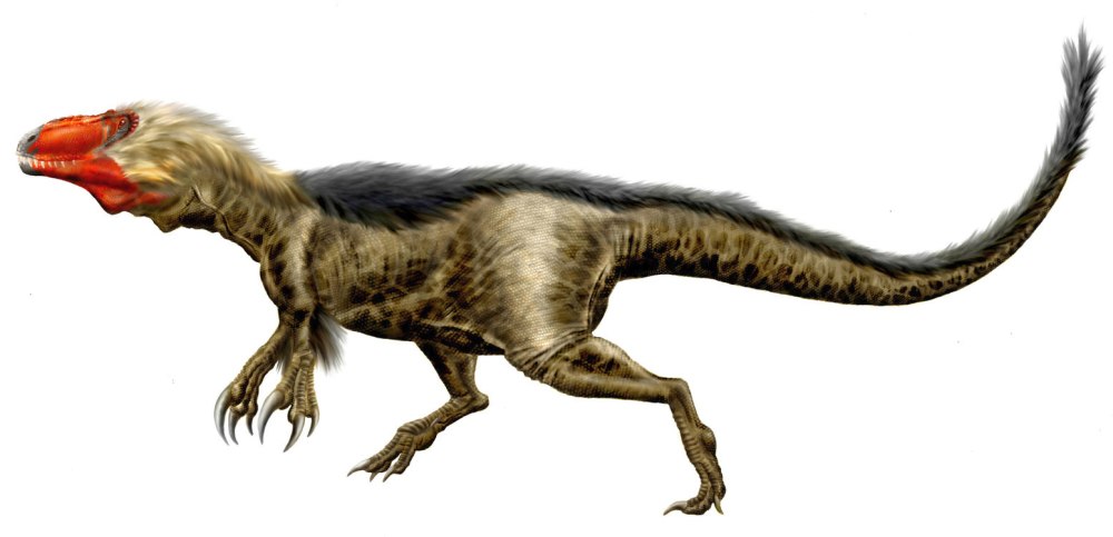 Dryptosaurus aquilunguis