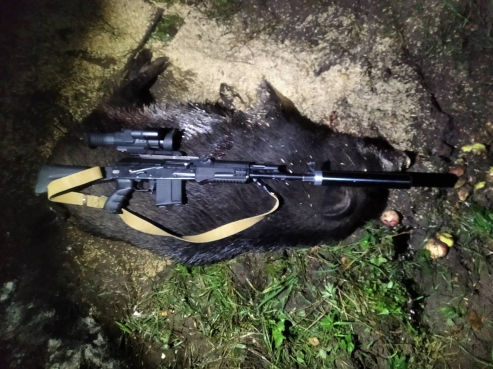 Сайга 308 450