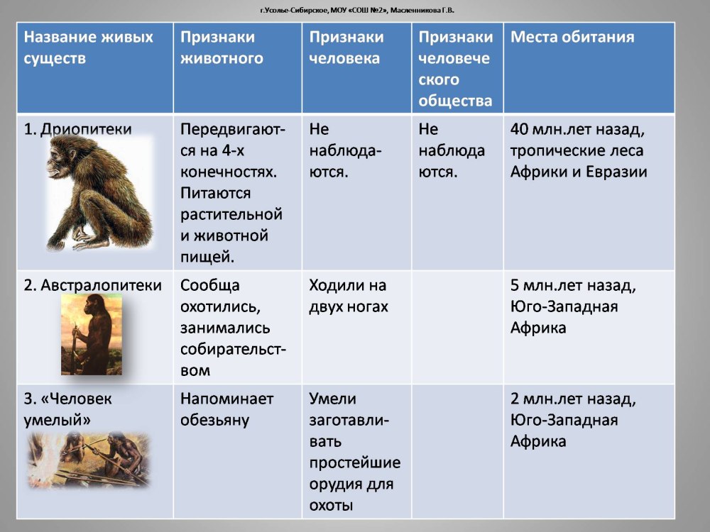 Особенности австралопитеков таблица