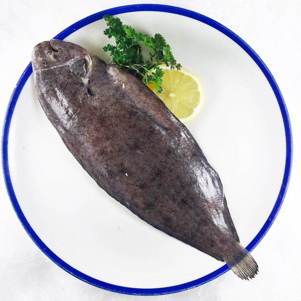 Морской окунь пангасиус