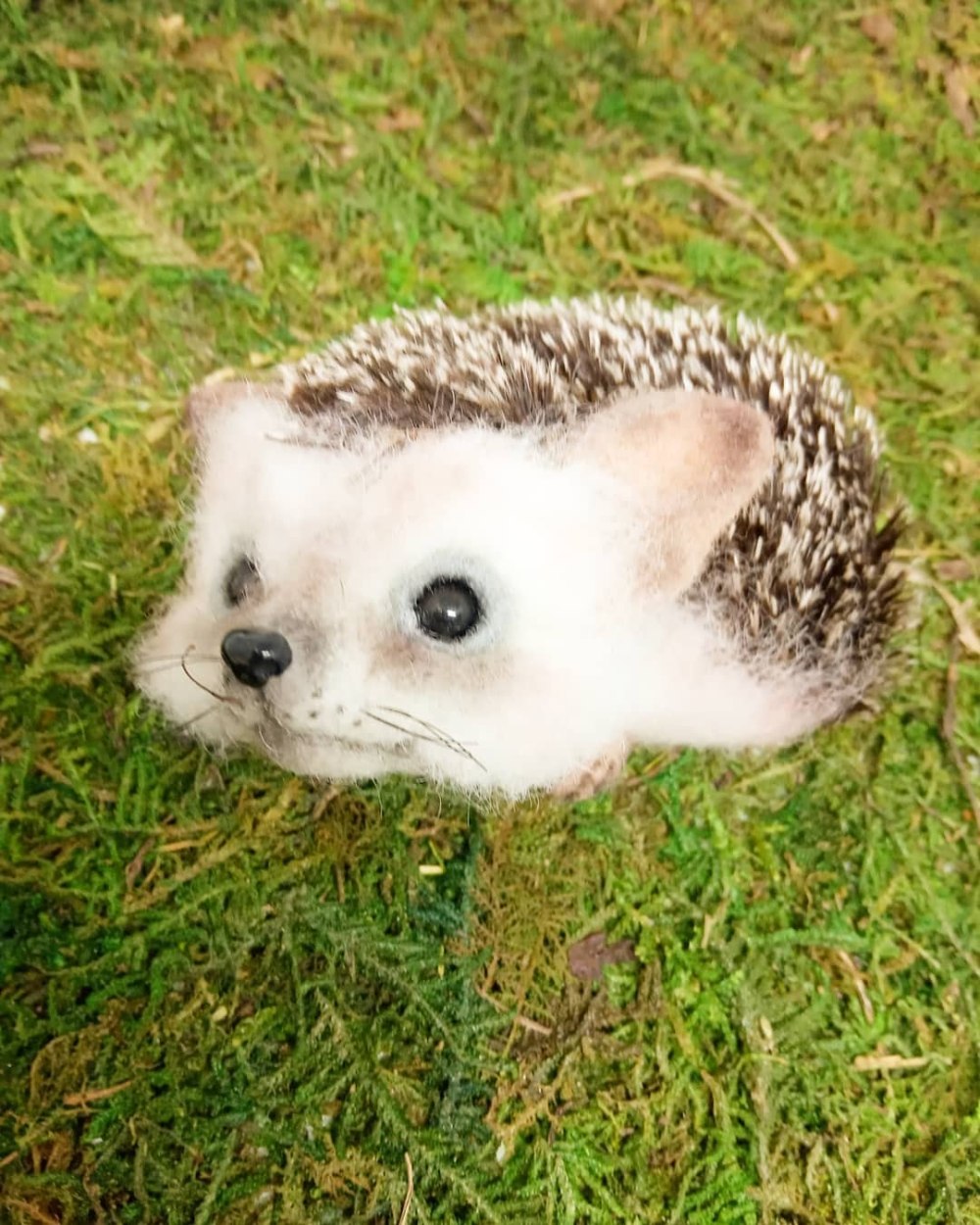 Ежик УШАСТИК
