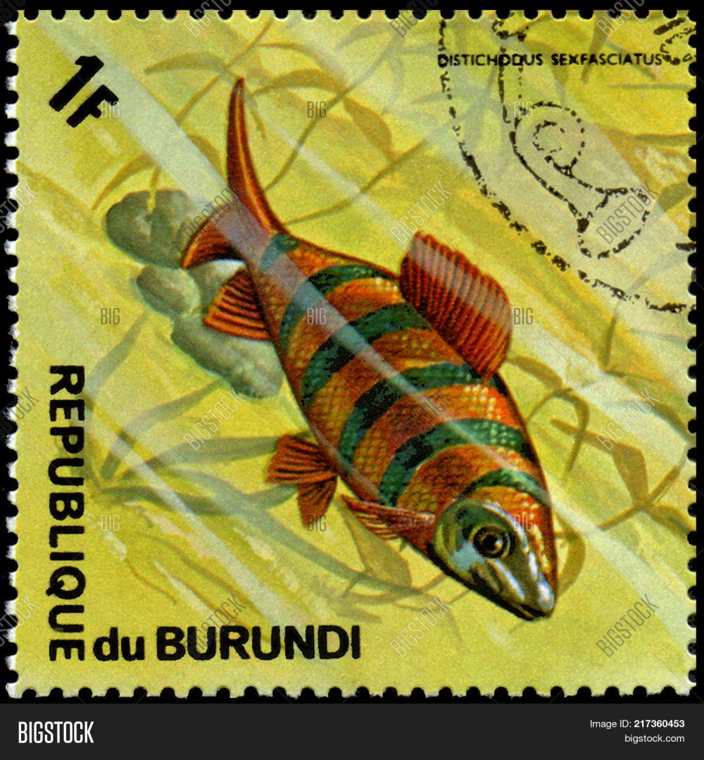 Марки почт Бурунди рыбы 1974