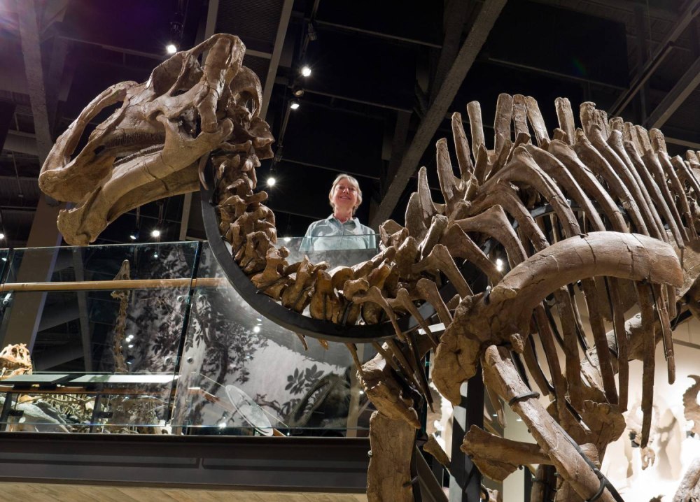 Gryposaurus monumentensis