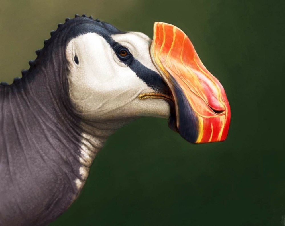 Carmelosaurus