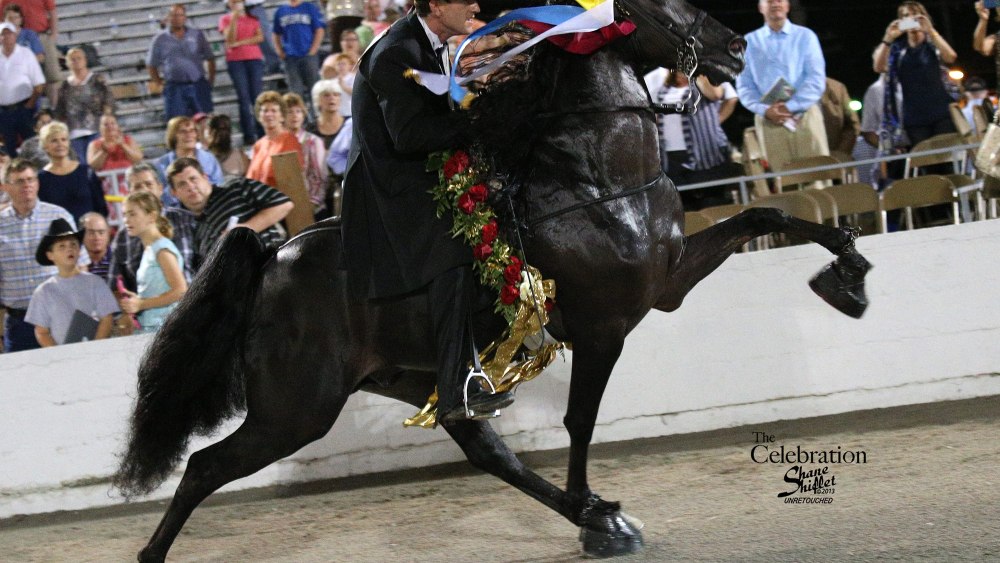 Теннесси Walking Horse