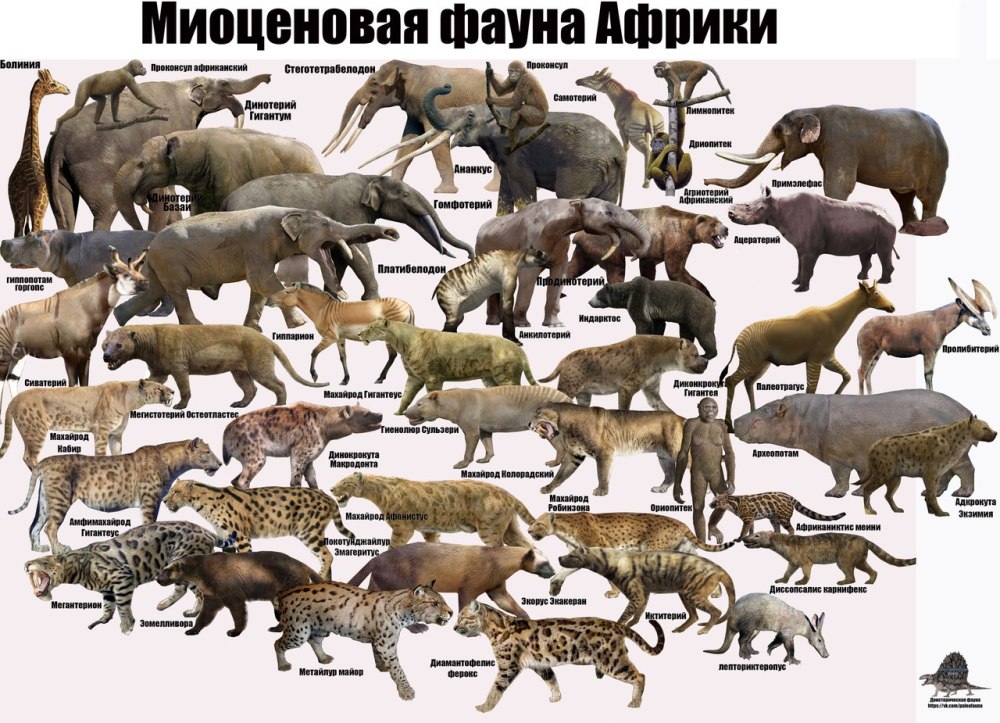Миоценовая фауна Америки