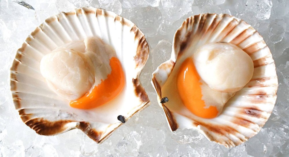 Морской гребешок Scallops