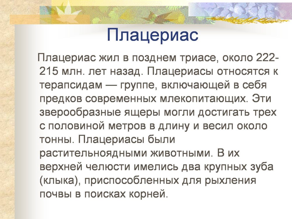 Что означает плацериас