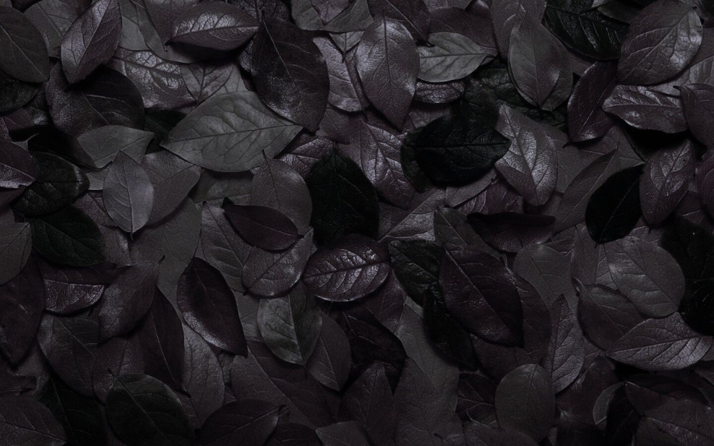 Черный лист