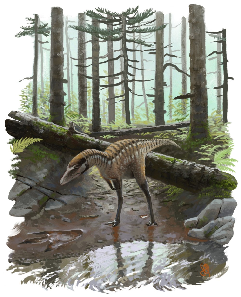 Tupandactylus Сергей Красовский