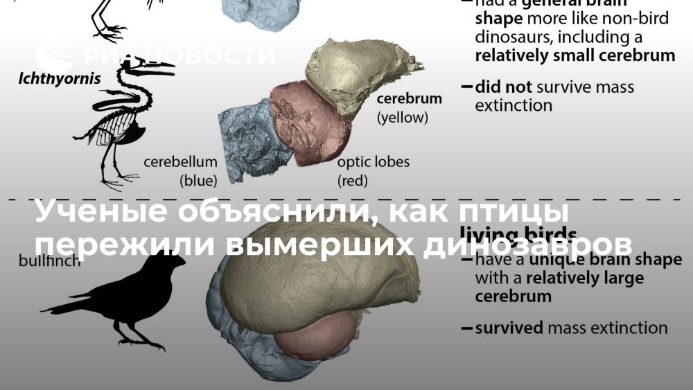 Биология в США