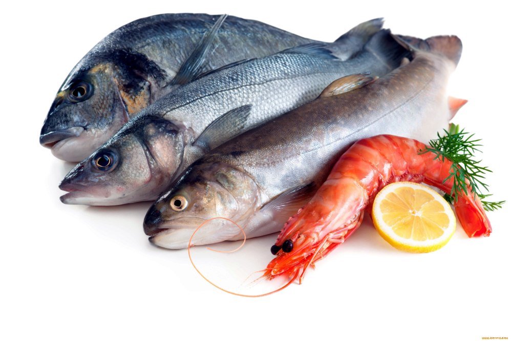 Рыба и морепродукты