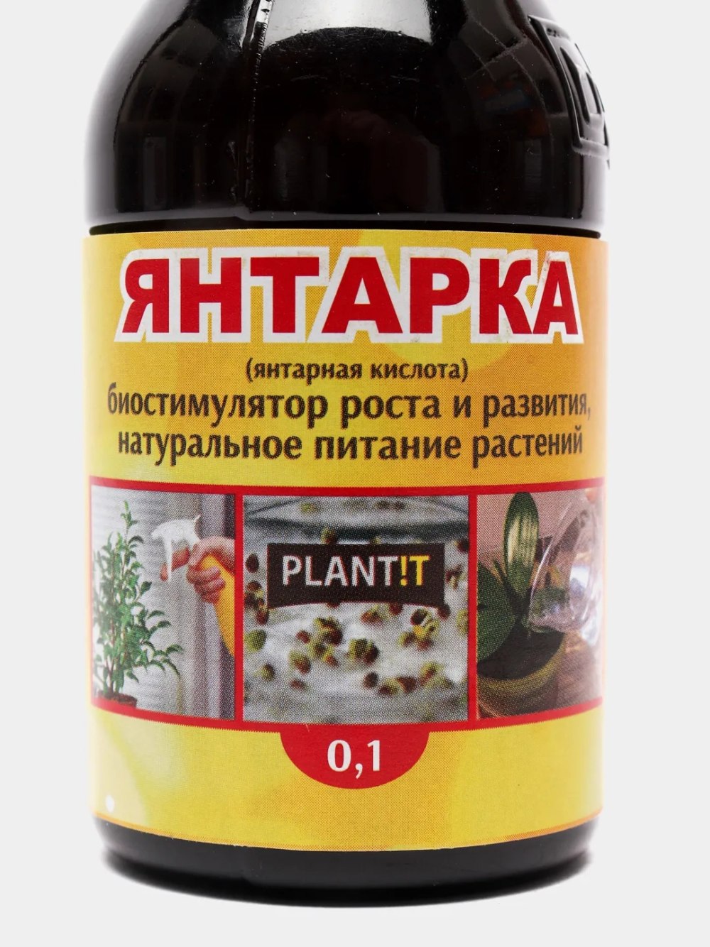 Картинка янтарко