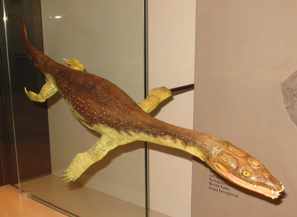 ИКО& динозавр из коллекции Lariosaurus Balsami динозавр лариозавр морской