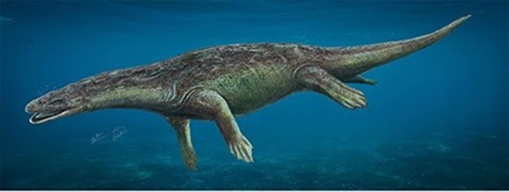 Лариозавр морской
