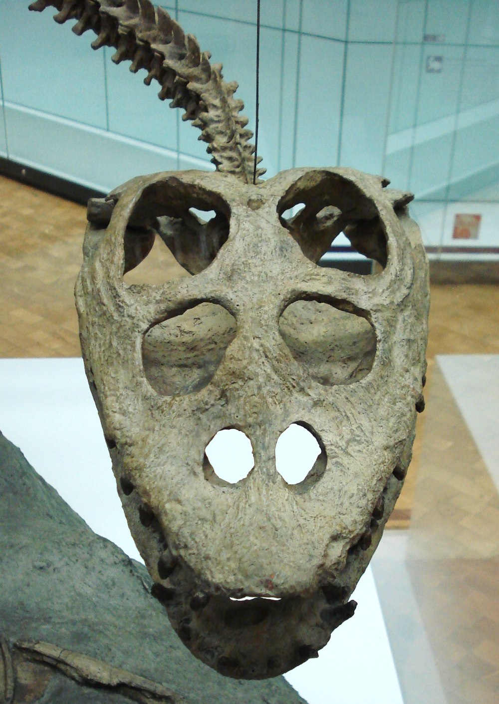 Abyssosaurus nataliae