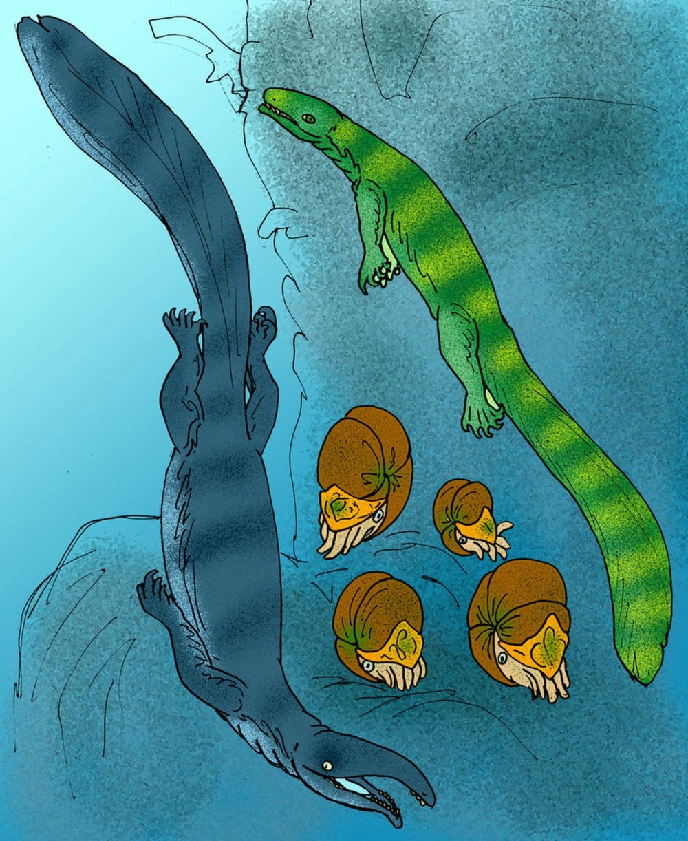 Thalattosaurus alexandrae