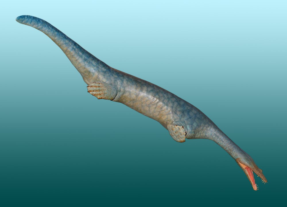 Nothosaurus Mirabilis
