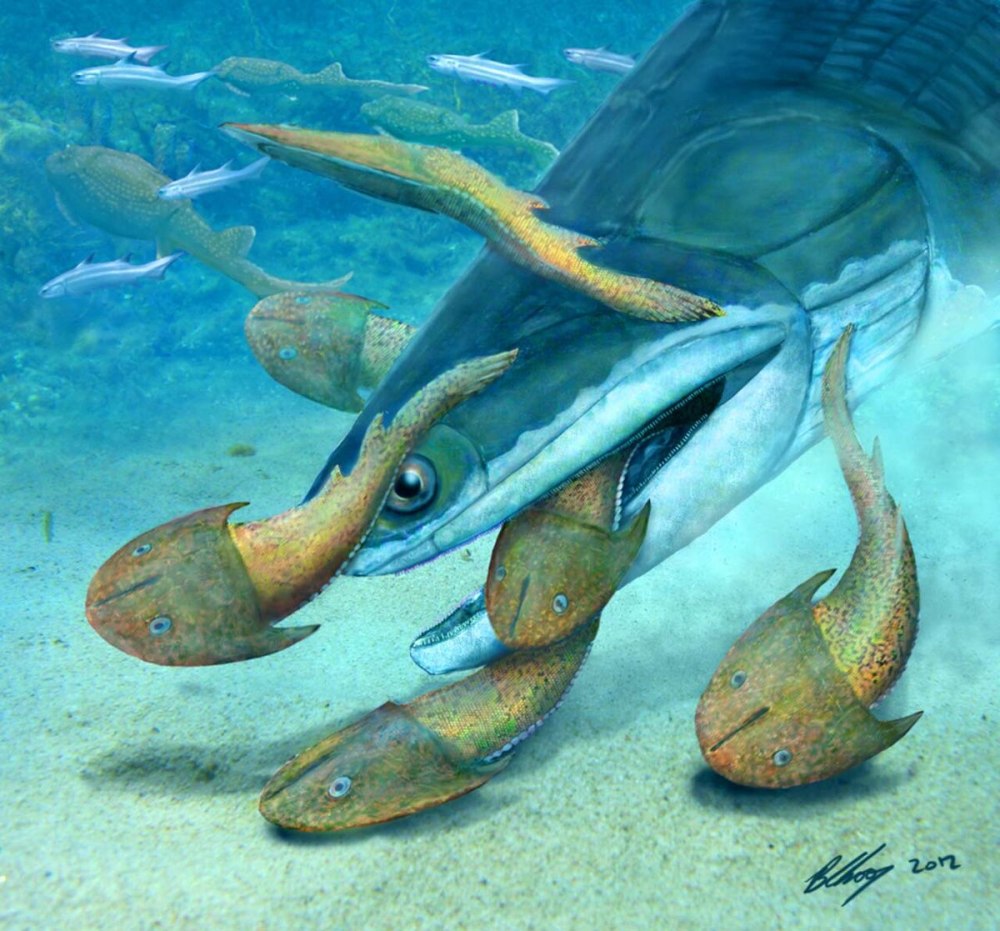 Megamastax amblyodus