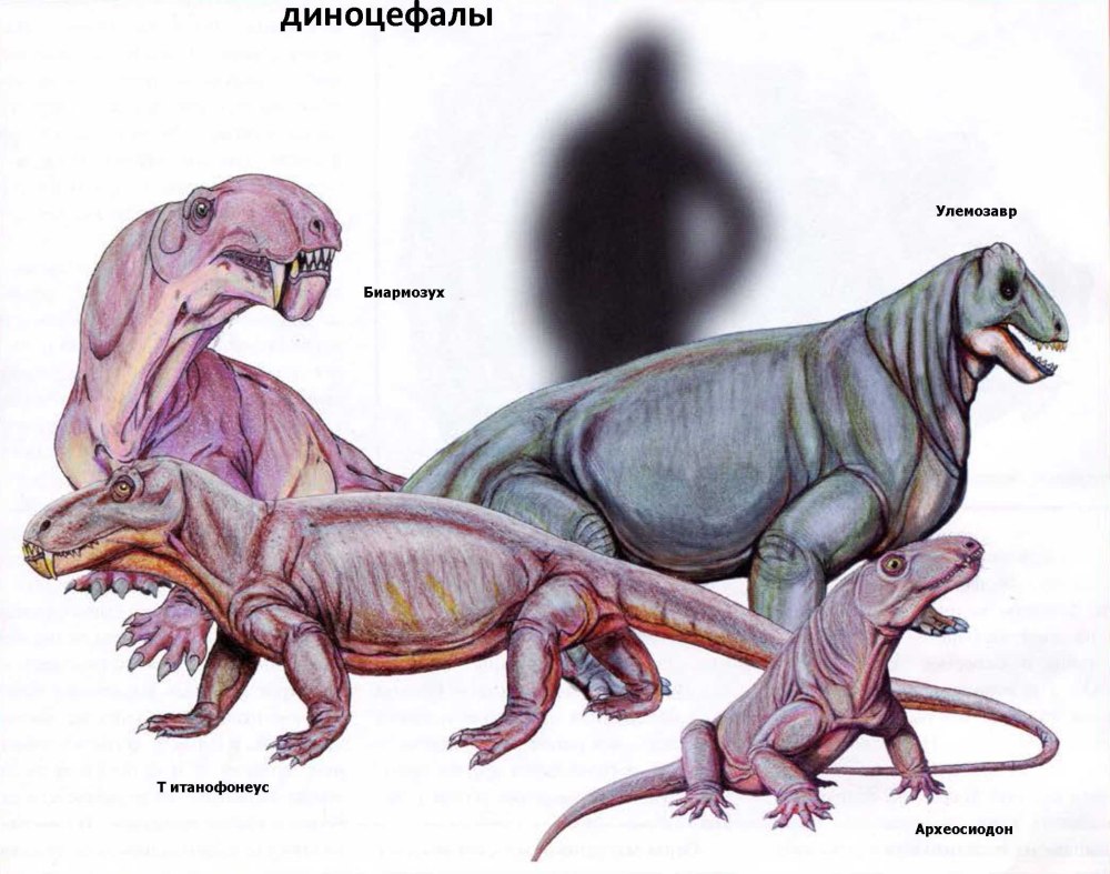 Диноцефал Эстемменозух