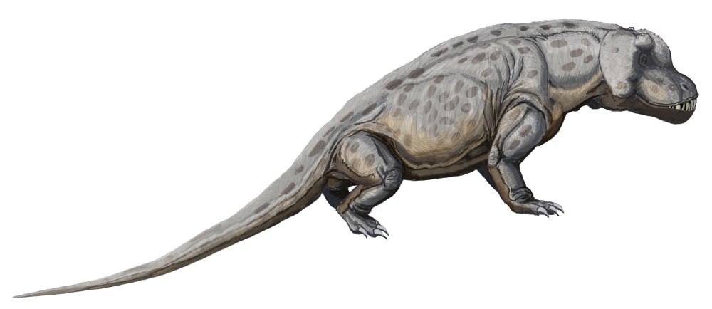 Антеозавры Anteosaurus magnificus