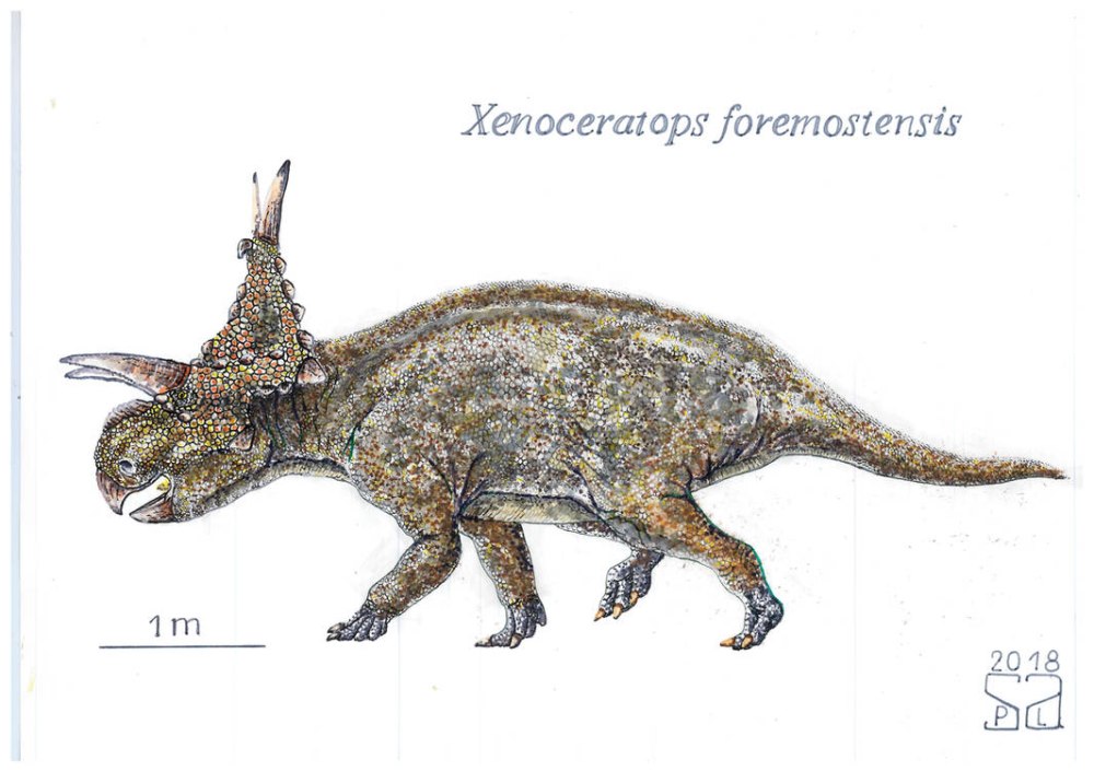 Xenoceratops foremostensis